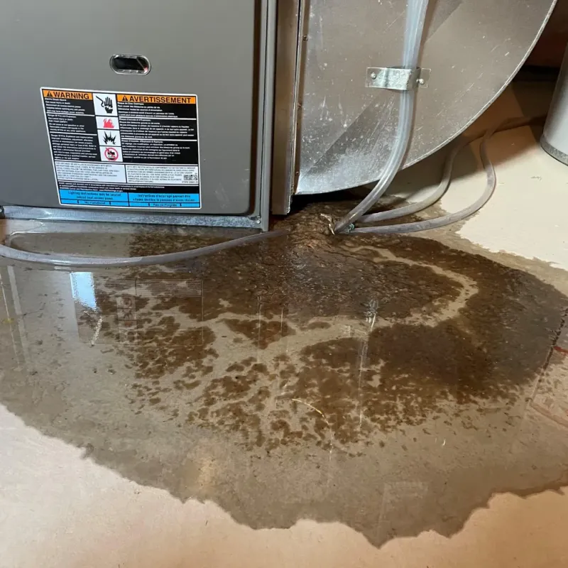 Appliance Leak Cleanup in Reform, AL